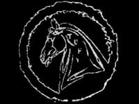 brand logo